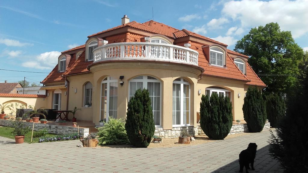 Ambrozia Guesthouse 나지카니자 외부 사진